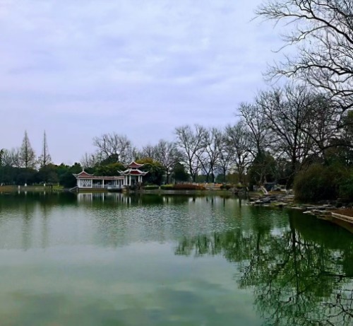 mmexport1612232618729.jpg