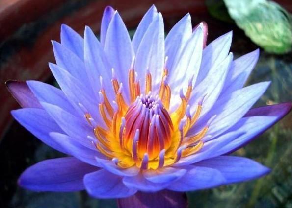 0022��˯����ͼ.jpg