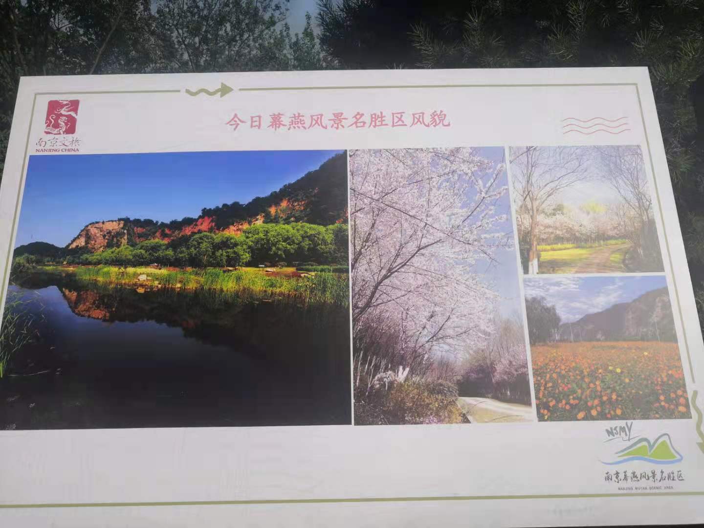b825931b4992ecdb7180a3ad4646a55.jpg