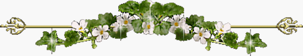 13.gif