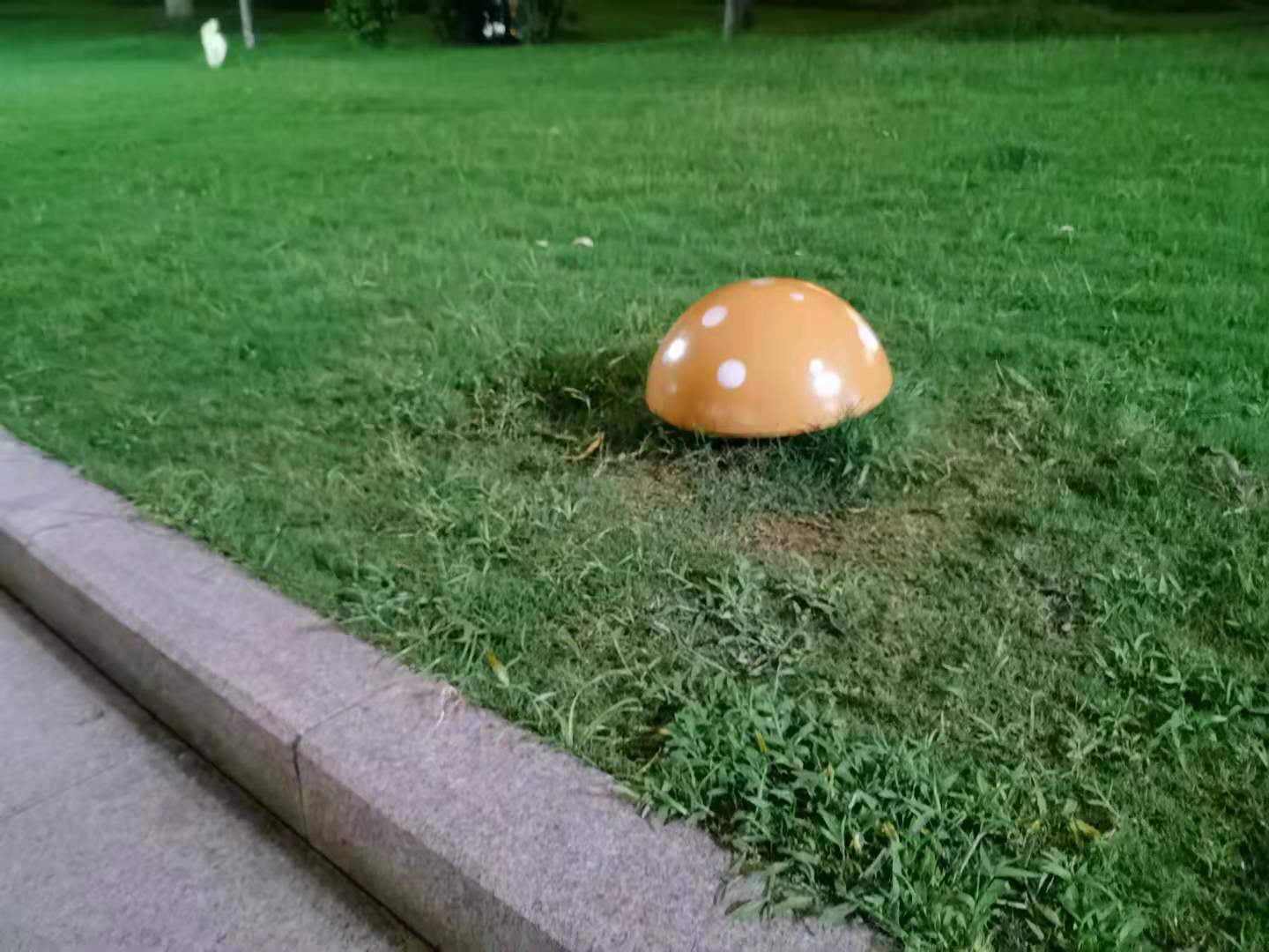 ΢��ͼƬ_20210730000317.jpg