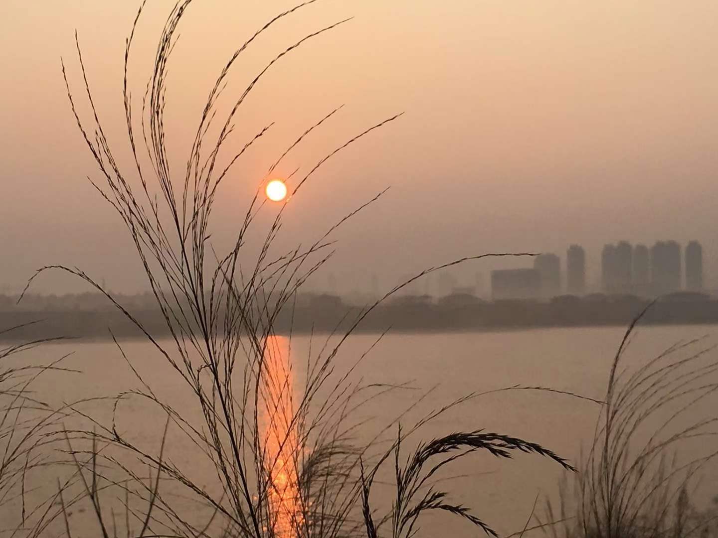 ΢��ͼƬ_20210817171628.jpg