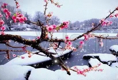 ΢��ͼƬ_20220126182337.jpg