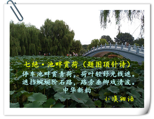 5bc8737a16dd1cda938f17d9297dd20d_����.jpg