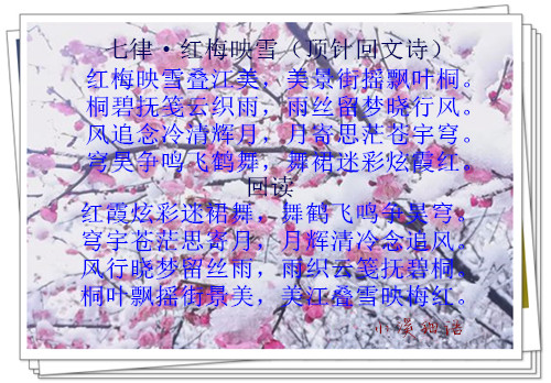 aa06fd53f203bbcf80a824da76735106_����.jpg