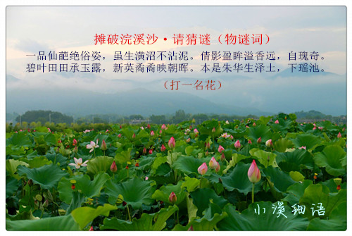 c207fca3a2be7998a53c156a8970fdee_����.jpg