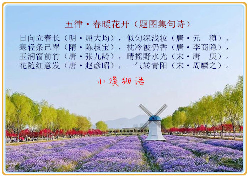 a034ba5167959c75ca073b8c70841cb2_����.jpg