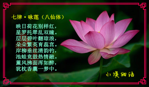 8ef89ba79eede50dee54f5a73db5e562_����.jpg