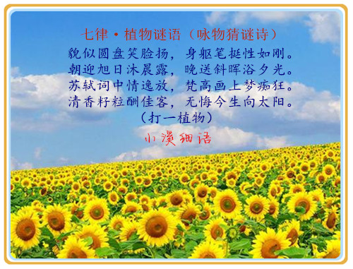 37d14b090ace723ec8ab6318642af71a_����.jpg