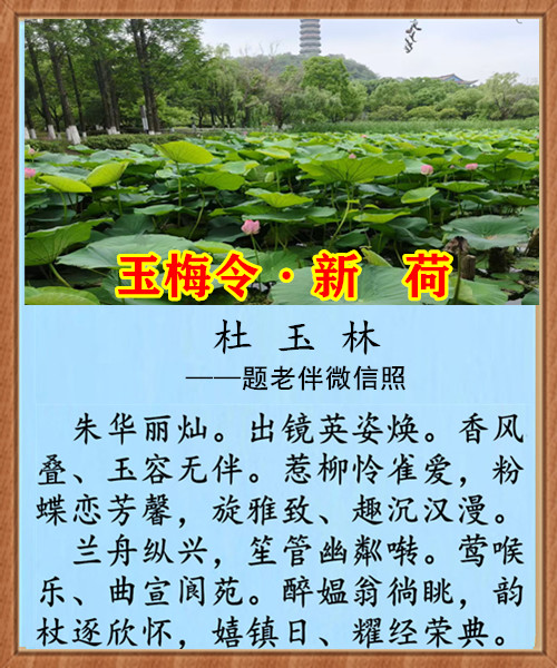 1457��÷���º�.jpg